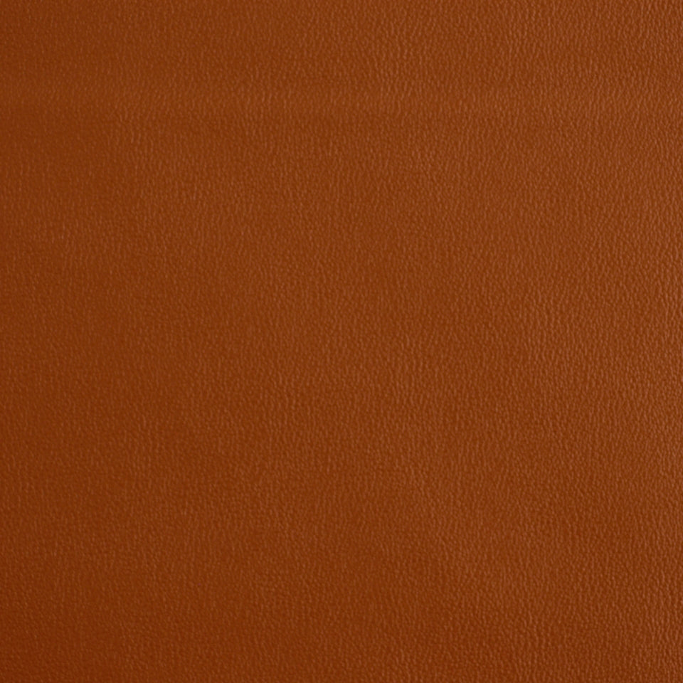 Robert Allen Contract Ananzi | Ginger Upholstery - 196350