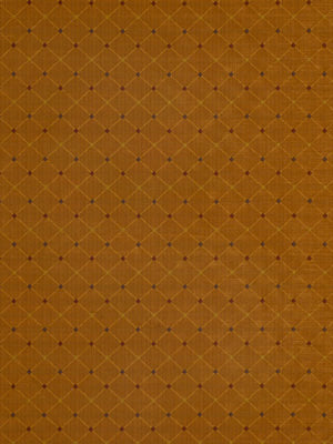 Burnt orange fabric with a tiny diamond lattice pattern of dark dots and lines.
