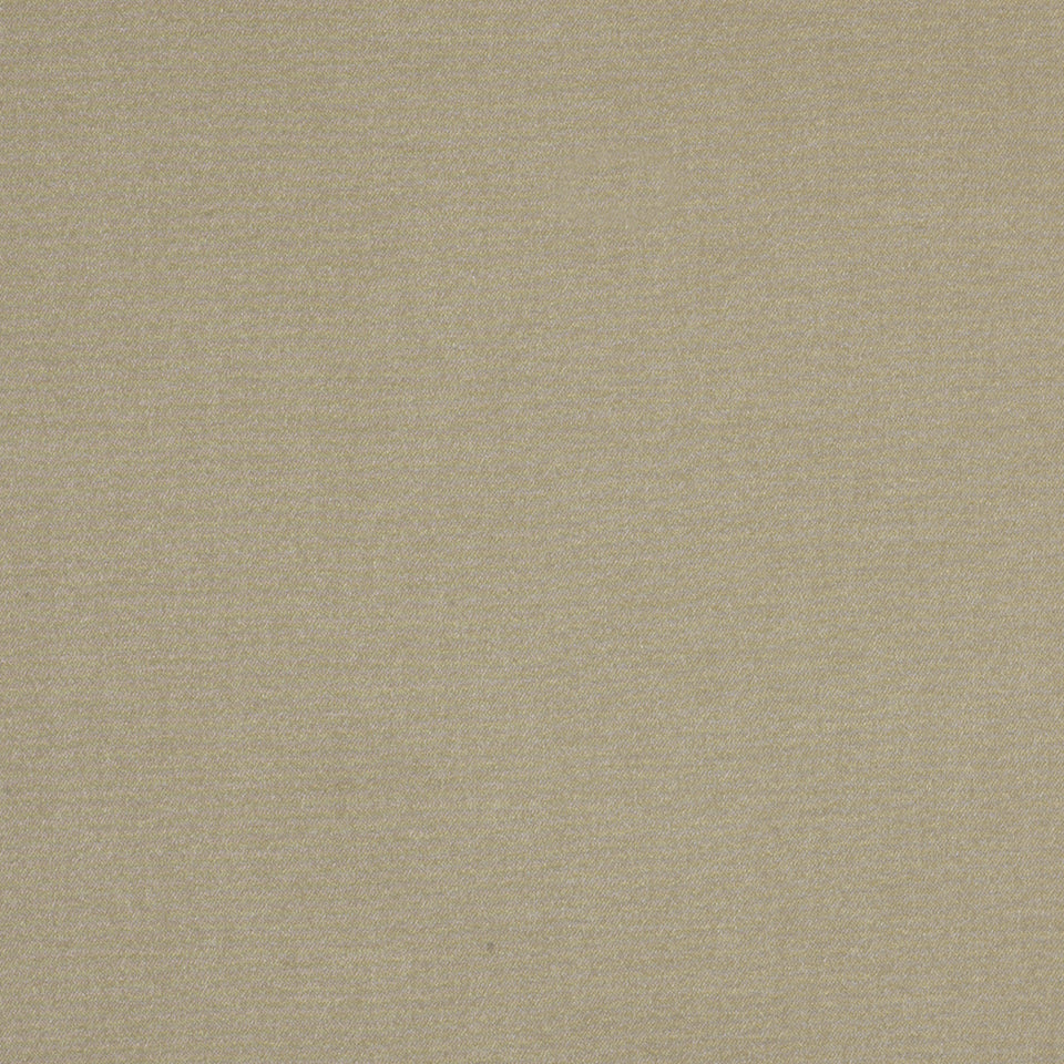 Robert Allen Mordini | Sand Dollar Multipurpose - 208399