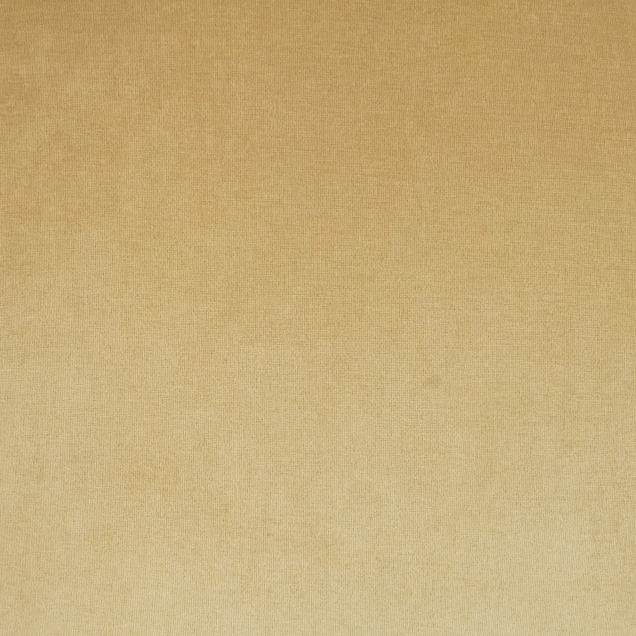 D.V. KAP HOME 24" x 24" Berlin Pillow - Gold Solid - 2097-G-2424