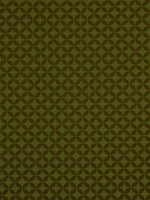 Robert Allen Contract Asterling | Edamame Upholstery - 211334