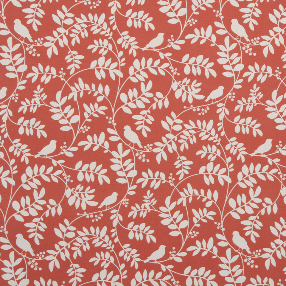 Robert Allen @ Home New Botany | Coral Drapery - 213220