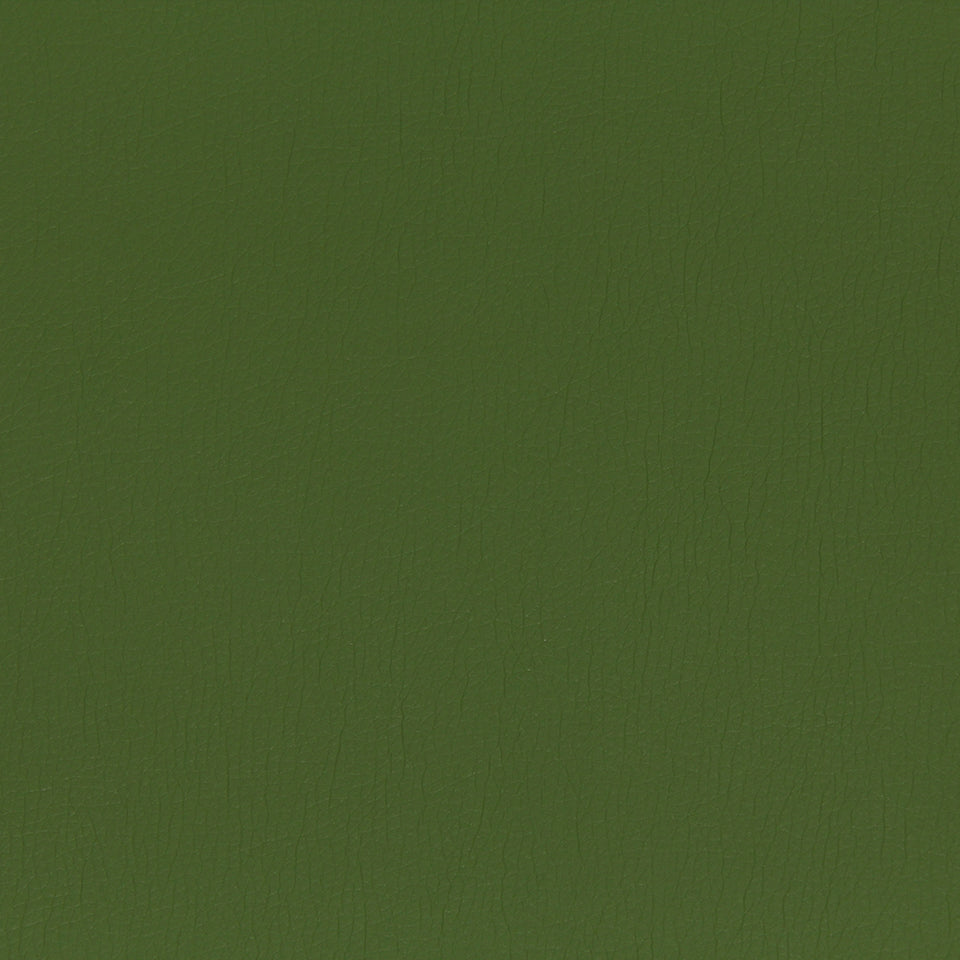 Robert Allen Contract Splash | Grass Upholstery - 216781