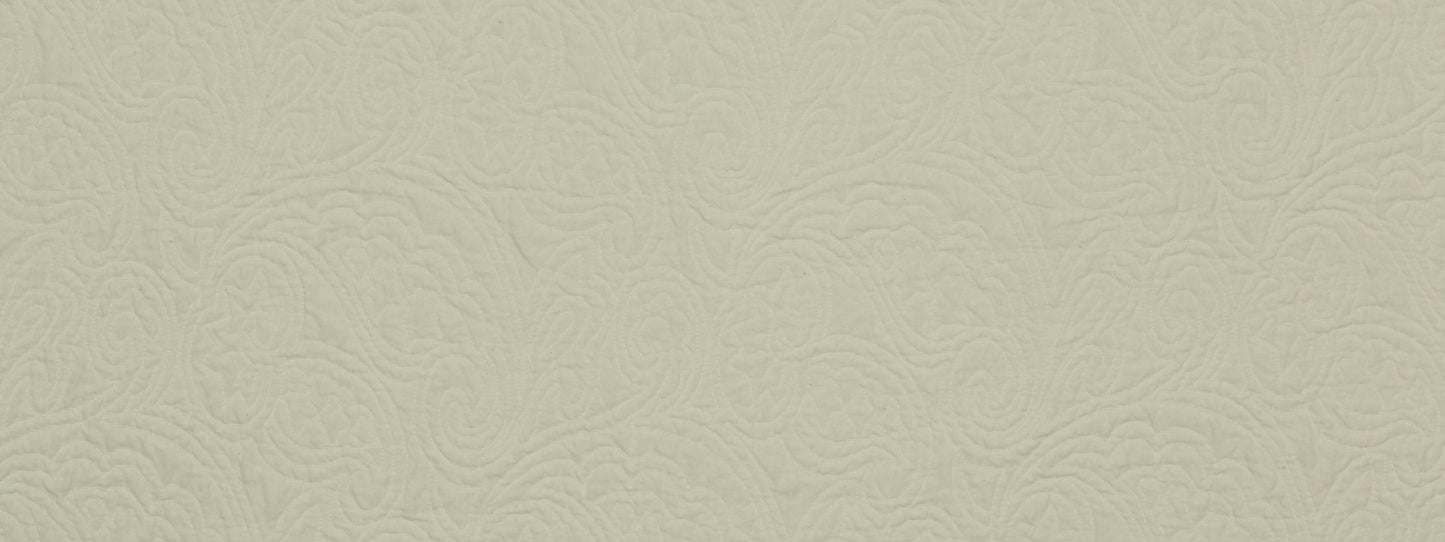 Robert Allen Tracing Nature | Alabaster Multipurpose - 219494