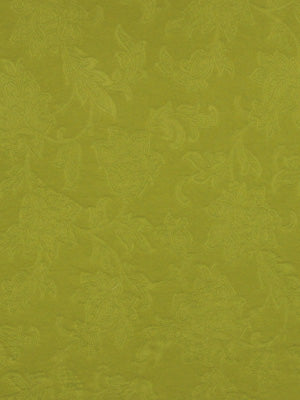 Robert Allen Haddington | Lime Multipurpose - 221483