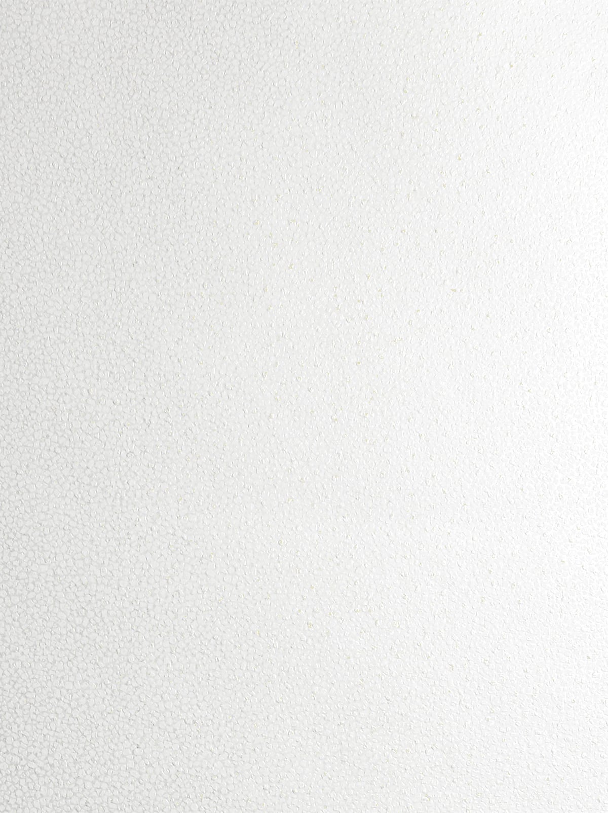 Etten Studios Essential Textures Mica Texture Abstract Contemporary Off-White Metallic/Glitter - 2231633