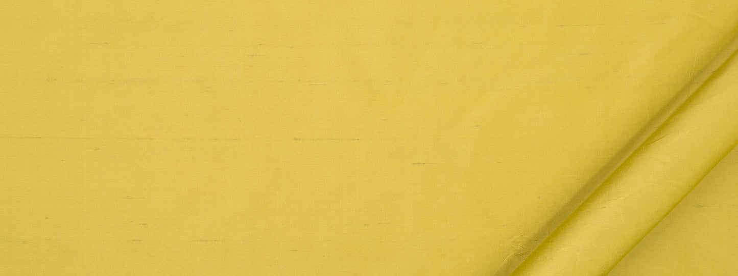 Robert Allen Allepey | Zest Multipurpose - 235659