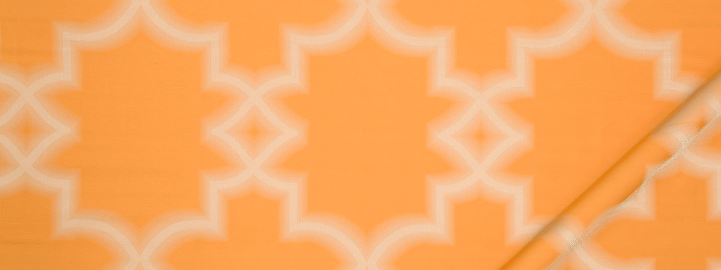 Robert Allen Contract Blurred Lines | Papaya Multipurpose - 239031