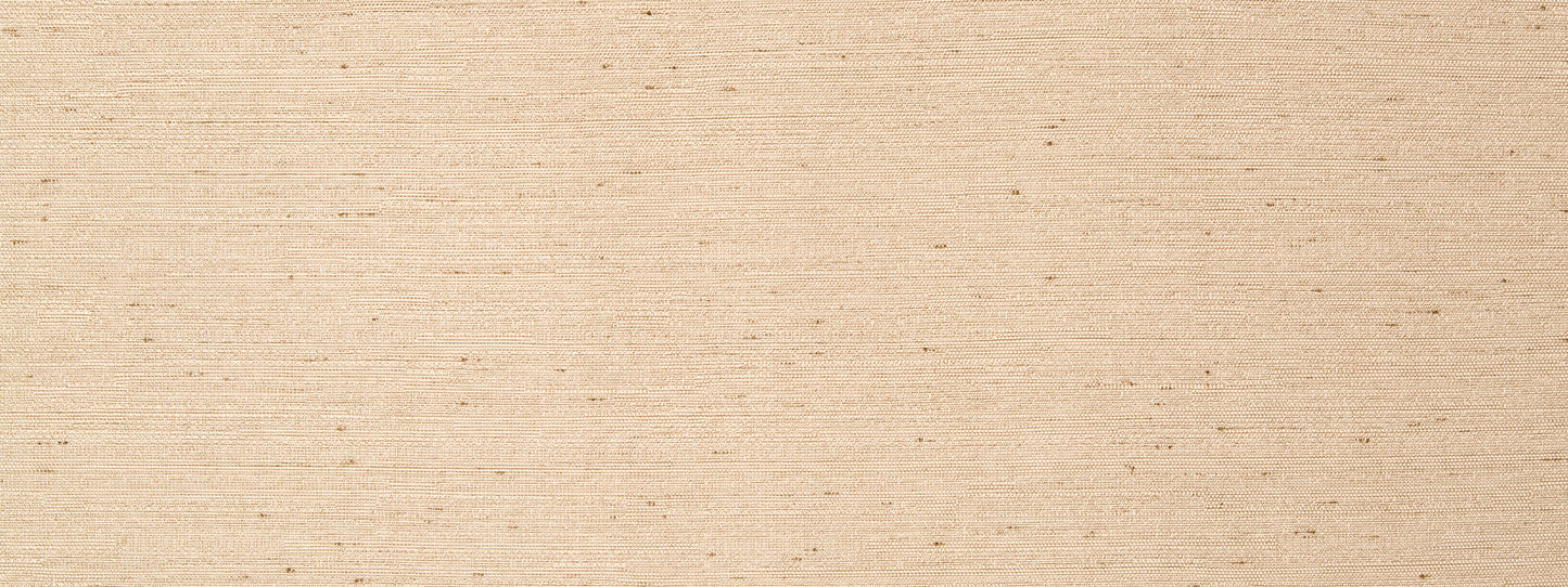 Beige cork texture background with natural grain and subtle speckling.