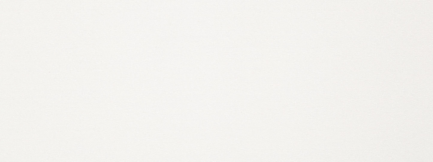 Plain white textured backdrop with subtle speckling and soft gradient.