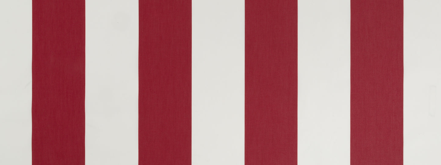 Robert Allen Domineer | Cassis Multipurpose - 248461