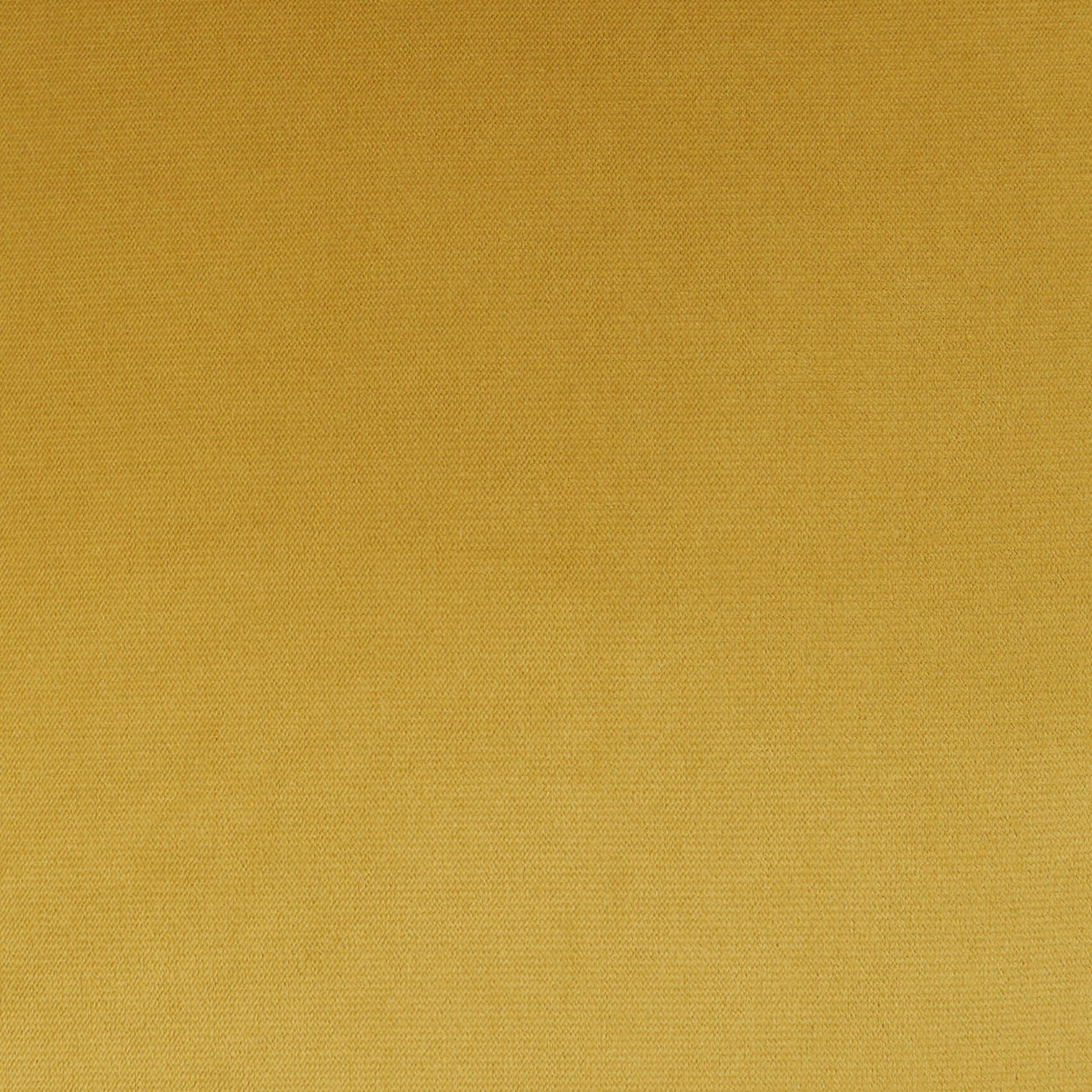 Mustard yellow woven fabric swatch with tight weave.