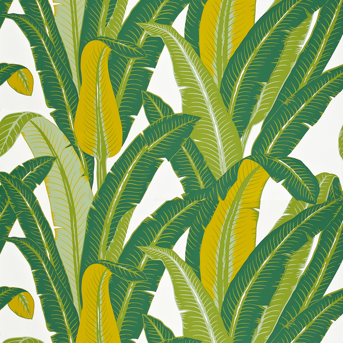 SCHUMACHER WALLCOVERING FULL BLOOM TROPICAL ISLE GREEN ON WHITE - 2707230