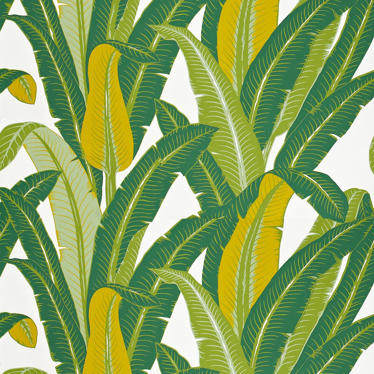 Vibrant tropical leaf wallpaper pattern with overlapping green fronds on a white background.
