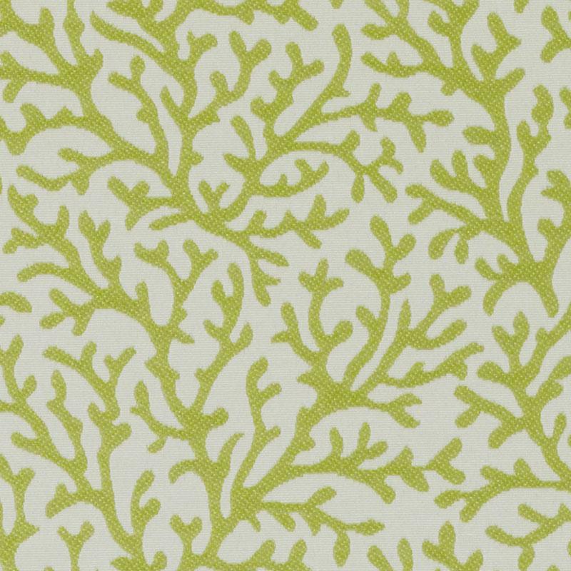 Lime green coral-like pattern on cream background; bold tropical motif for fabric or wallpaper.