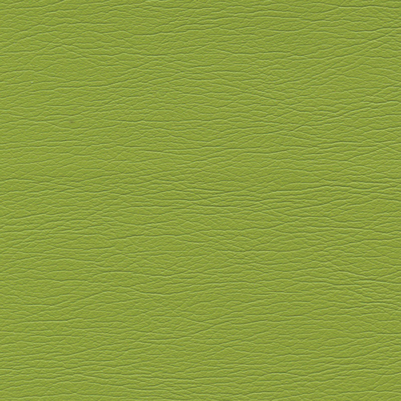 SCHUMACHER ULTRALEATHER ULTRALEATHER WOVEN WOVEN PARROT - 291-4460