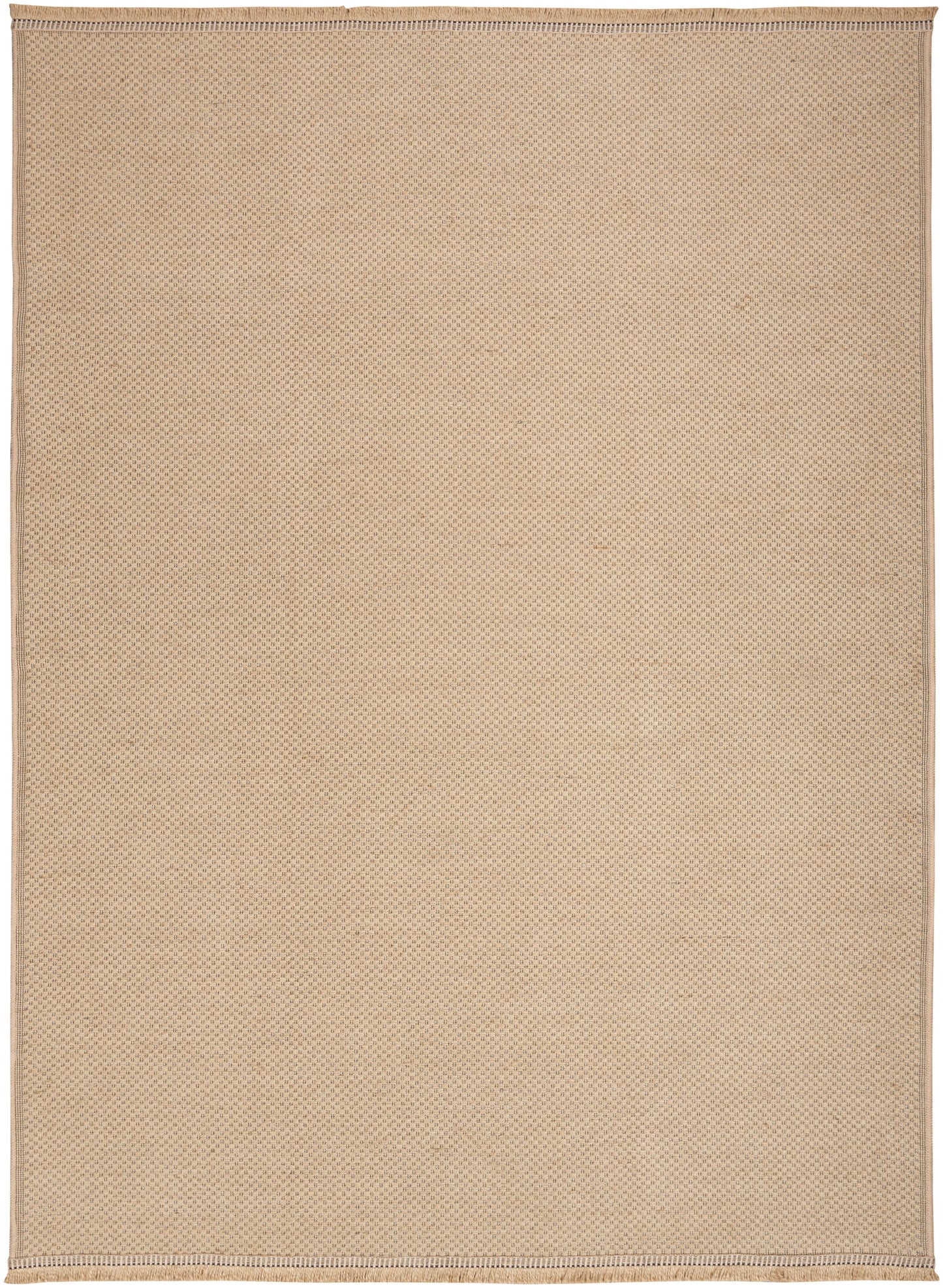 Beige woven rug with subtle dotted texture and light border, rectangular.