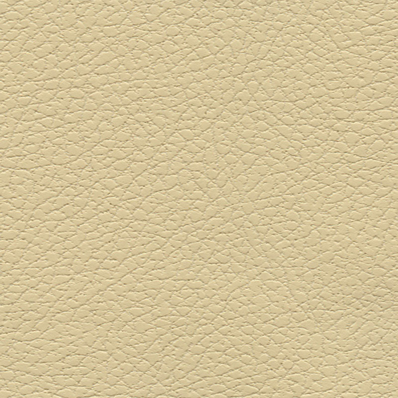 SCHUMACHER ULTRALEATHER BRISA WOVEN WOVEN CAMEL - 303-3960