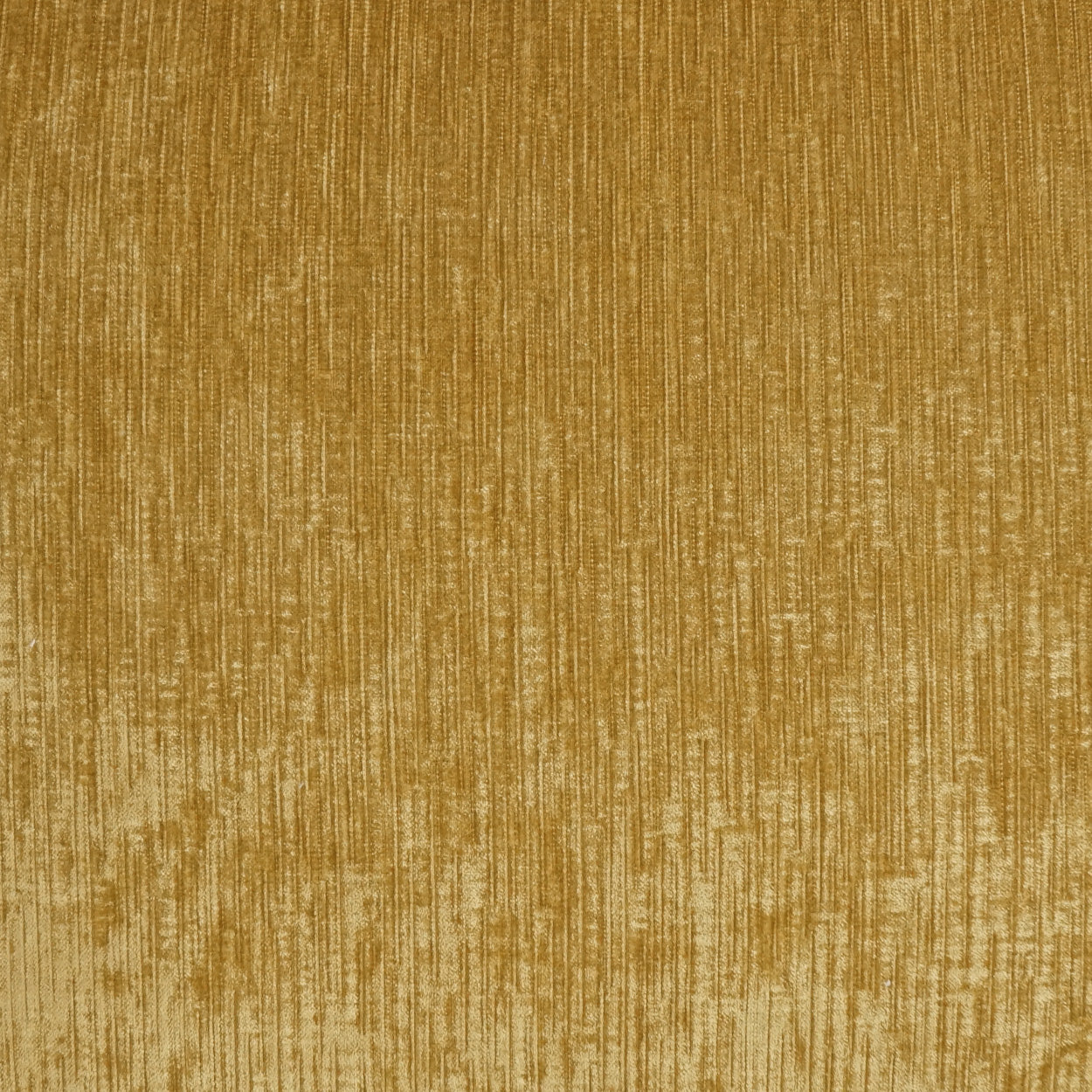 Gold velvet fabric with vertical brushed texture; plush upholstery or drapery material.