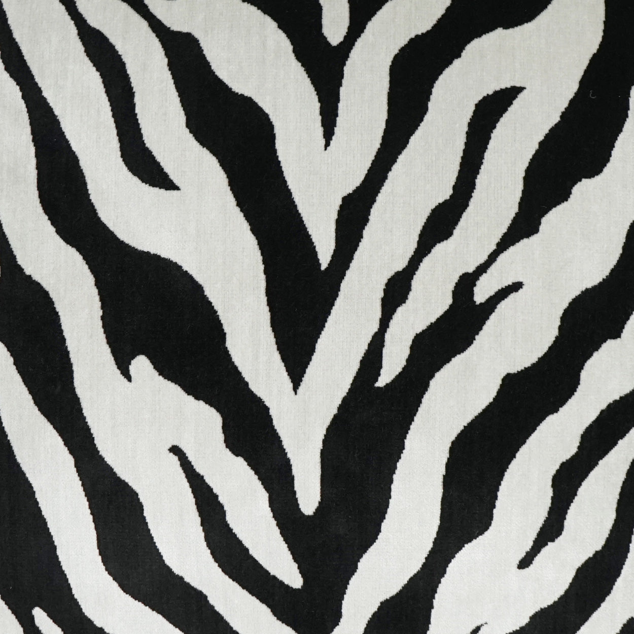 Zebra stripe fabric pattern in black and white with bold wavy lines.