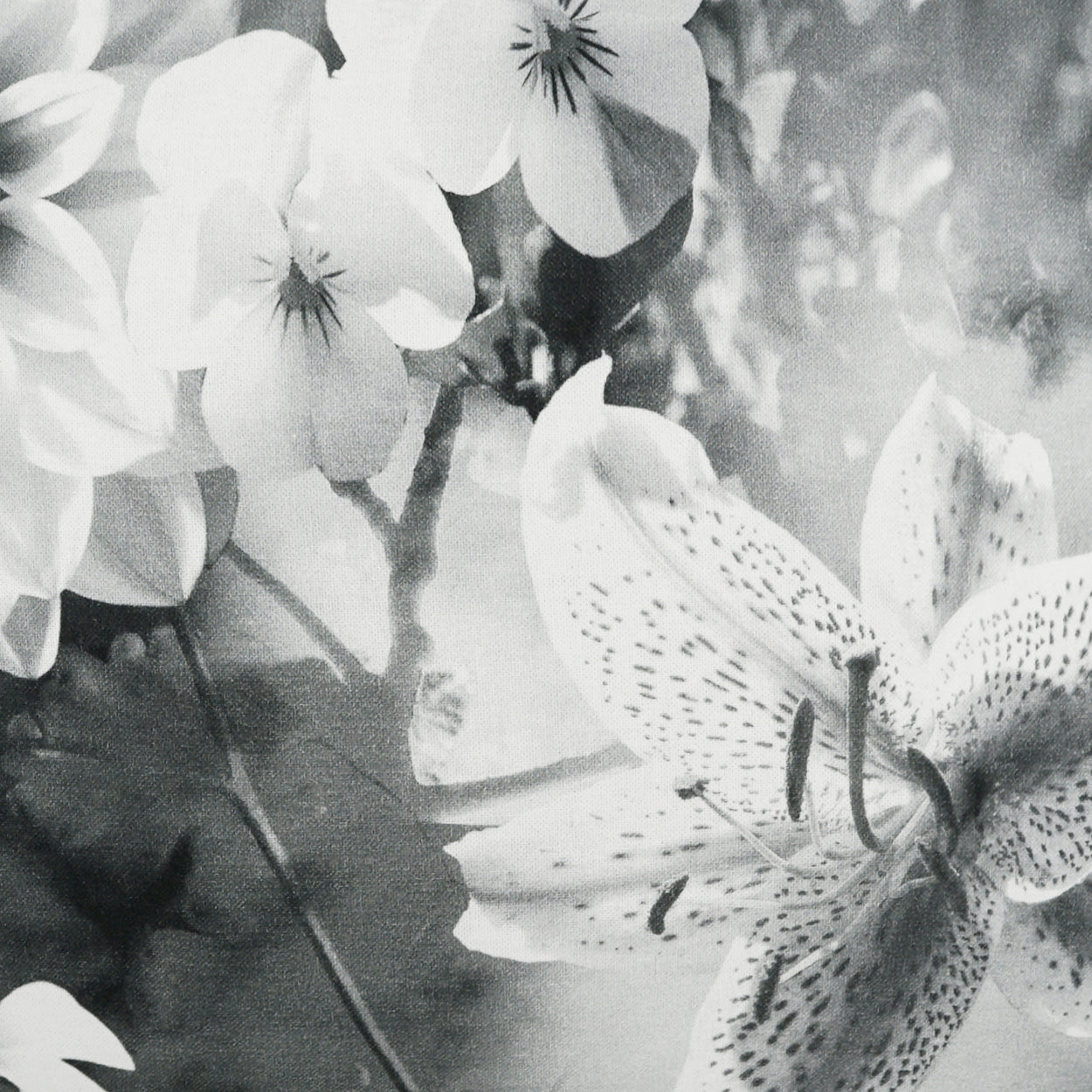 D.V. KAP HOME 24" x 24" Superbloom Pillow Floral - 3915-2424