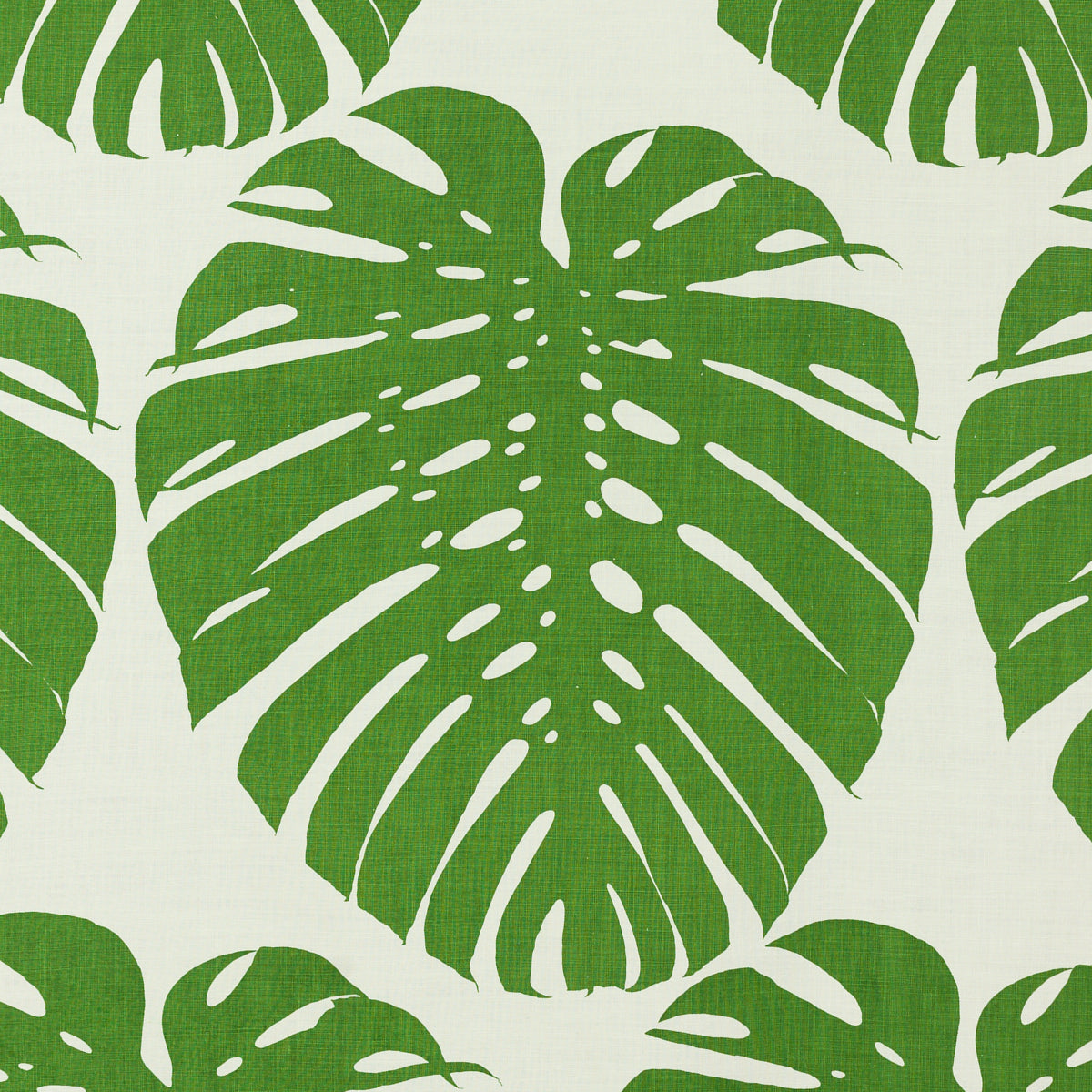 SCHUMACHER RAOUL TEXTILES EXOTICUS PRINTS PRINTS ELEPHANT LEAF - 410V19