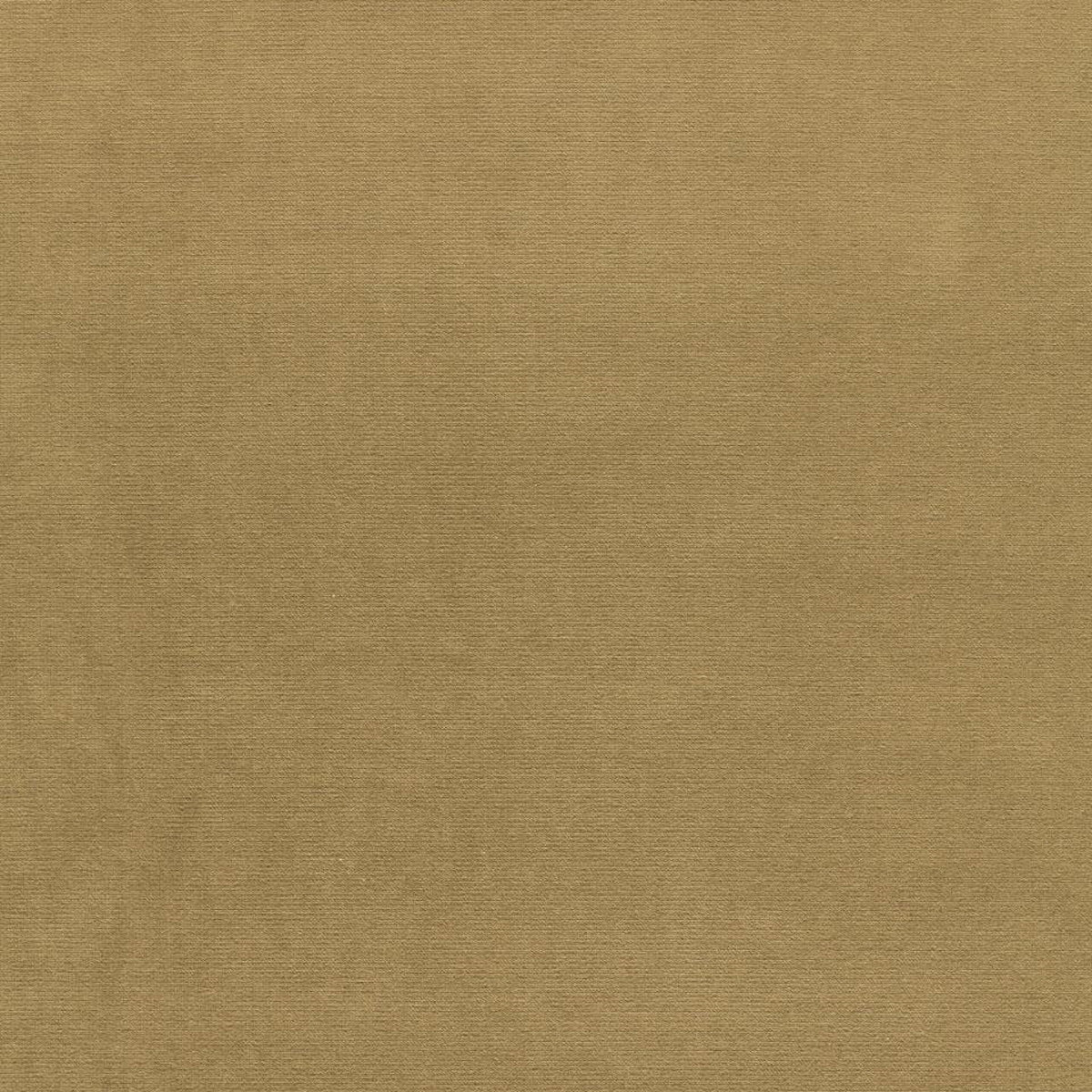 Pistachio green velvet fabric, close-up view showing the soft nap and luxurious texture for apparel or home decor.