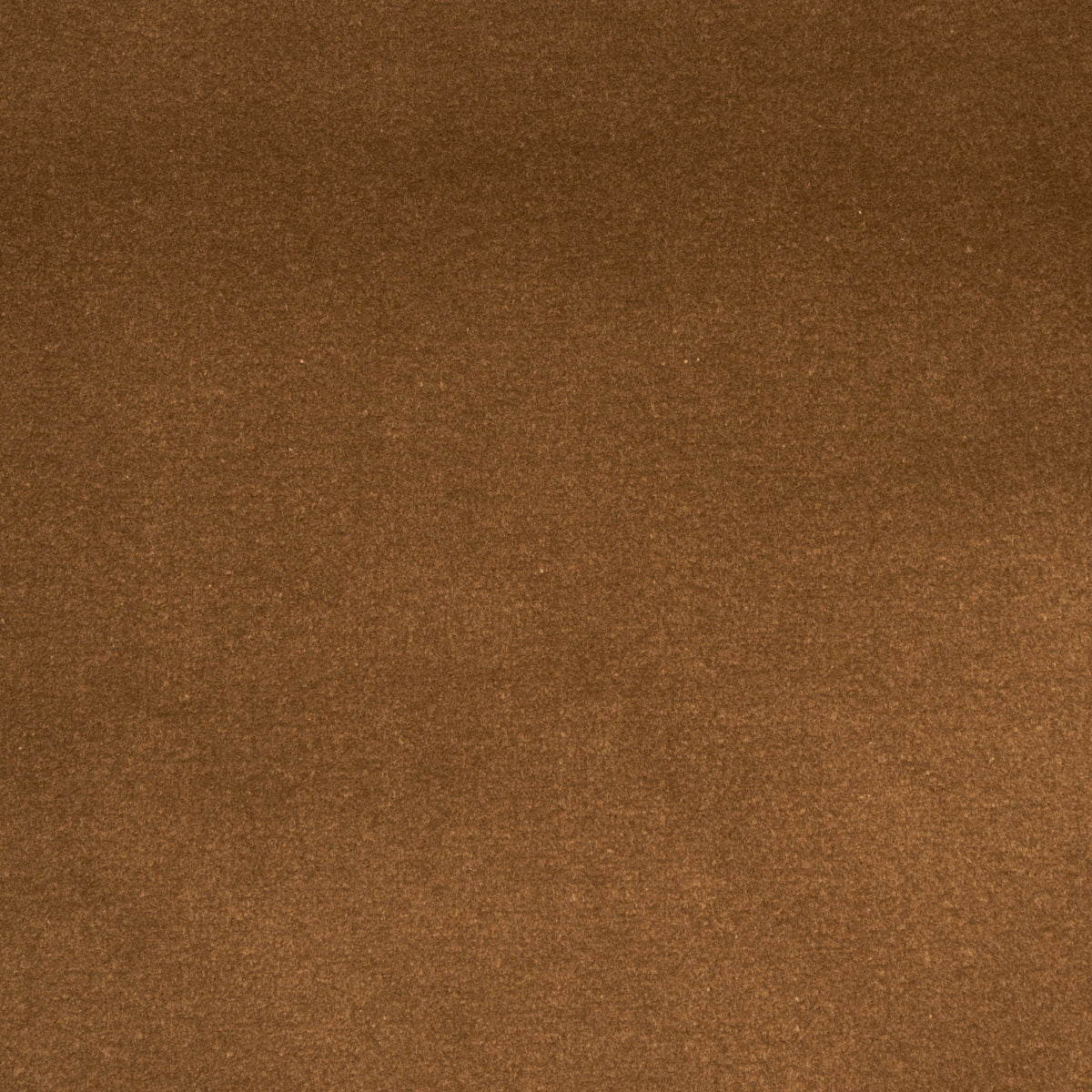 SCHUMACHER PERFECT BASICS: VELVET COTTON CLUB VELVET VELVETS,HIGH PERFORMANCE VELVETS,HIGH PERFORMANCE MUSHROOM - 43422