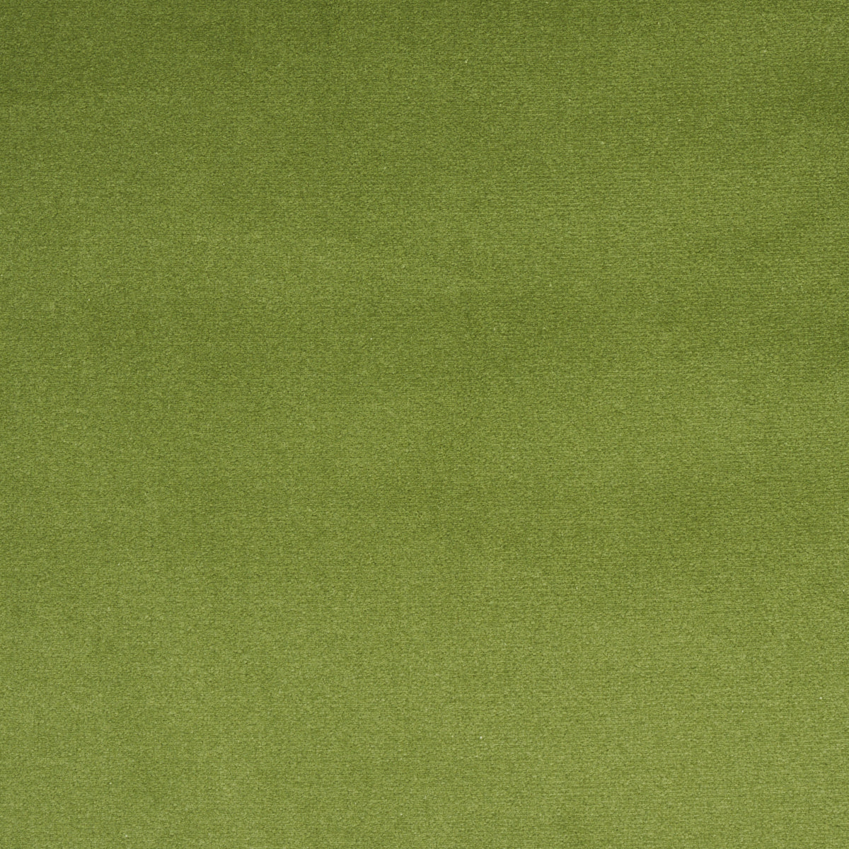 SCHUMACHER PERFECT BASICS: VELVET COTTON CLUB VELVET VELVETS,HIGH PERFORMANCE VELVETS,HIGH PERFORMANCE SAGE - 43424