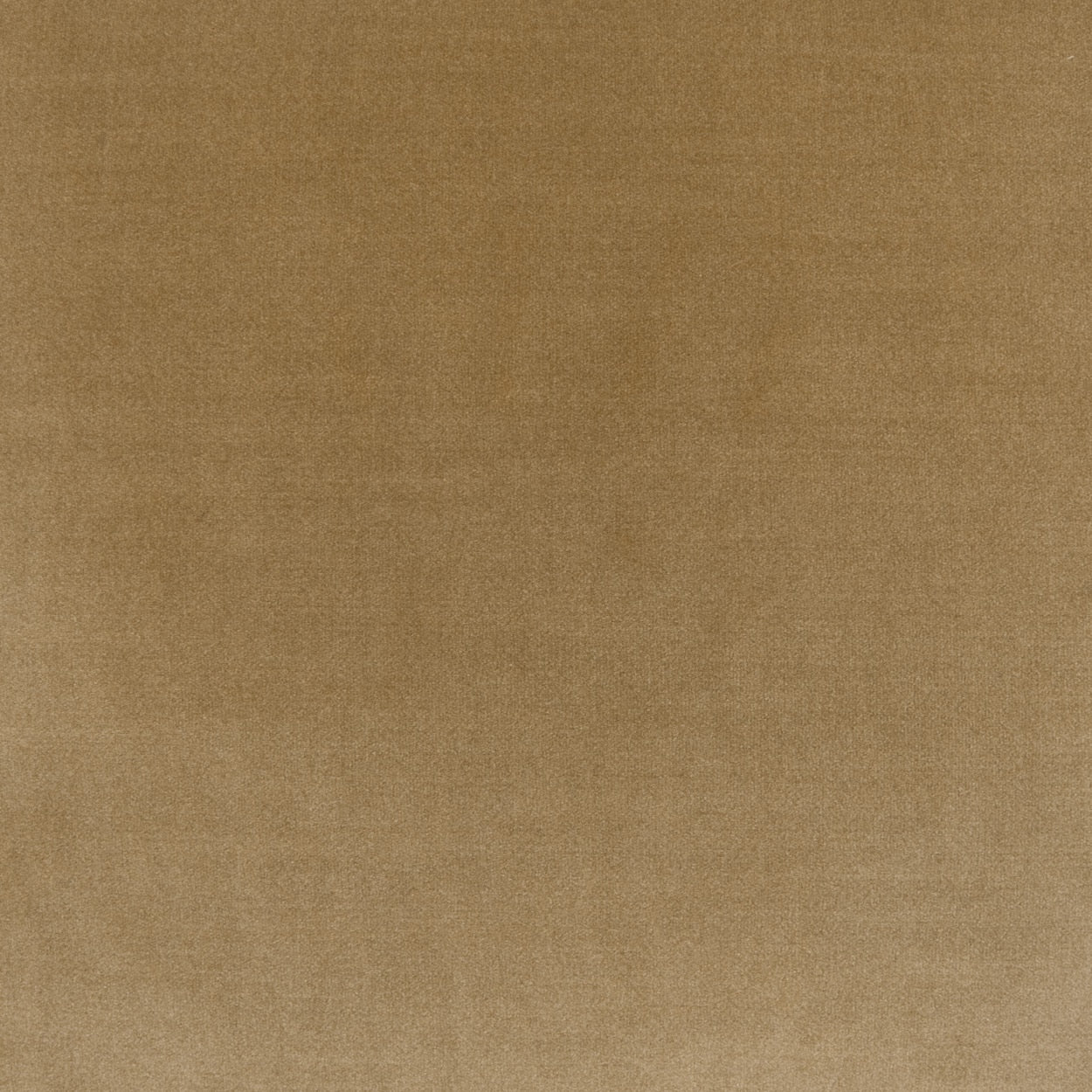 D.V. KAP HOME 24" x 24" Deveraux Solid - 4433-F-2424