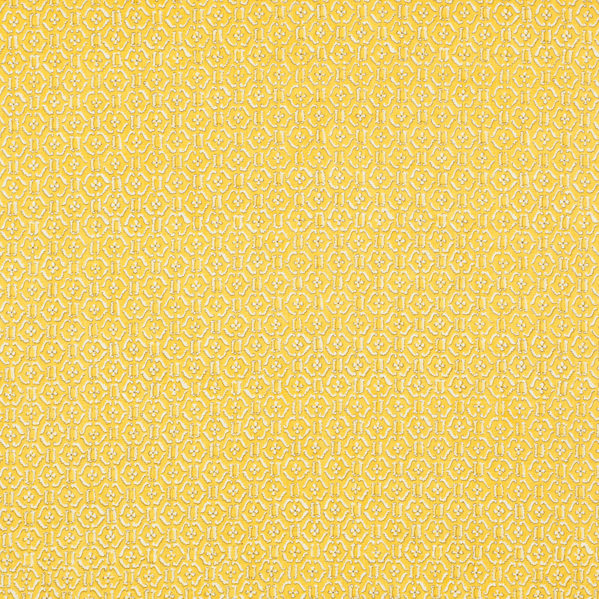 SCHUMACHER RAOUL TEXTILES REMY PRINTS PRINTS LOQUAT - 452V85