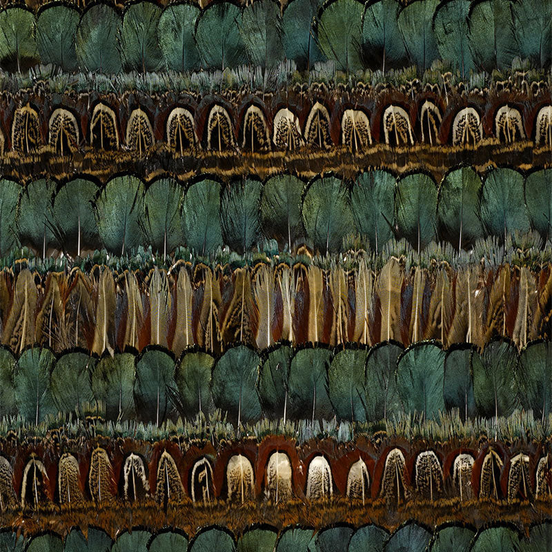 SCHUMACHER NEST CAYUGA CYPRUS - 5003810