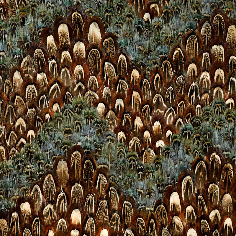 SCHUMACHER NEST CHESAPEAKE TOPAZ - 5003840