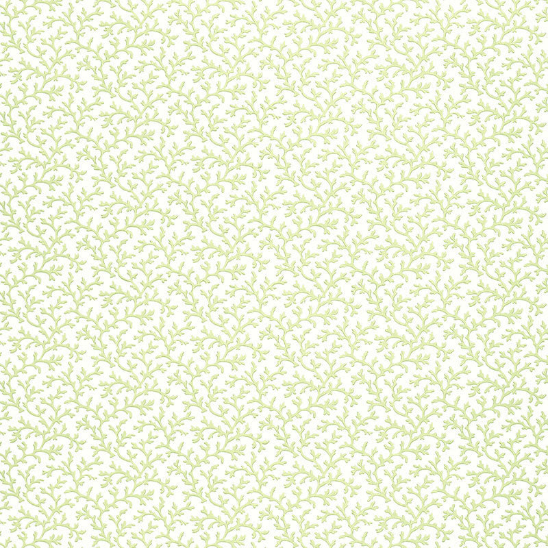 SCHUMACHER SIMPLY CHARMING CORAL VINE ALOE - 5004412