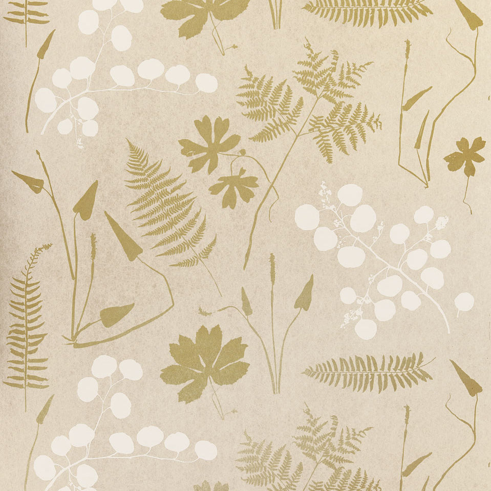 SCHUMACHER MODERN NATURE MODERN BOTANICAL PARCHMENT - 5005010