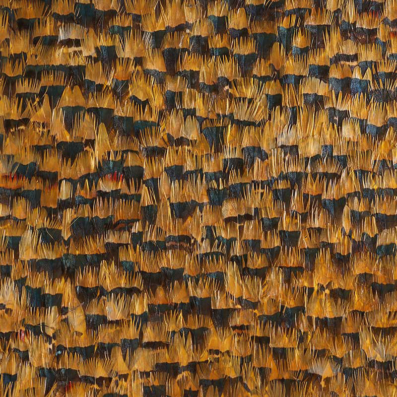 SCHUMACHER PLUME CITRINE LEMON - 5008372