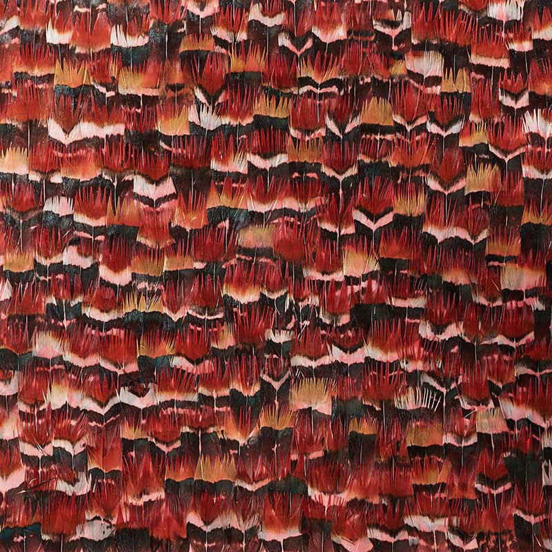 SCHUMACHER PLUME GARNET RAINBOW - 5008373