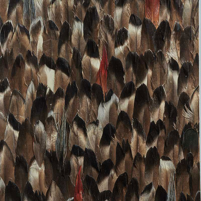 SCHUMACHER PLUME AVERLITE BLACK SMOKE - 5008383