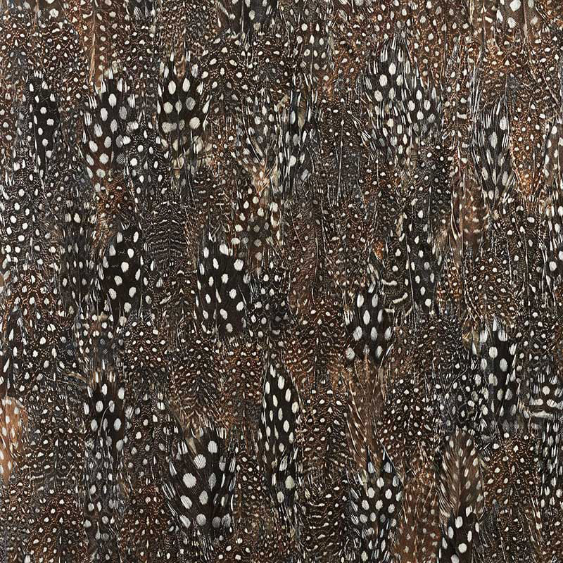 SCHUMACHER PLUME GRAPHITE BLACK PEARL - 5008391