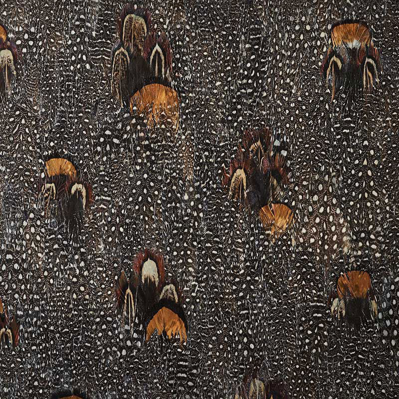 SCHUMACHER PLUME LODESTONE CORAL - 5008395