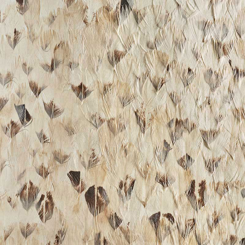 SCHUMACHER PLUME PLATINUM SMOKY GRAY - 5008399