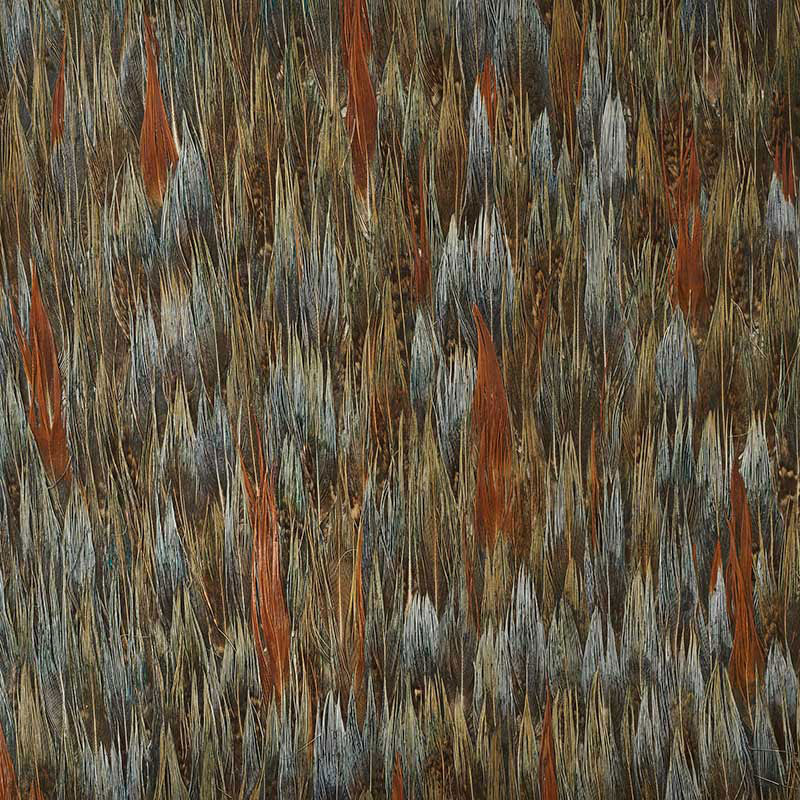 SCHUMACHER PLUME NICKEL BROWN - 5008404