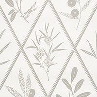 SCHUMACHER CHARLAP HYMAN & HERRERO ENDIMIONE Grey - 5009372