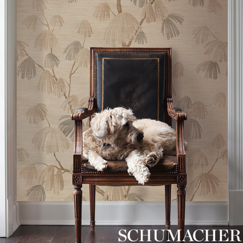 SCHUMACHER DAVID KAIHOI WEEPING PINE II BARLEY - 5009680