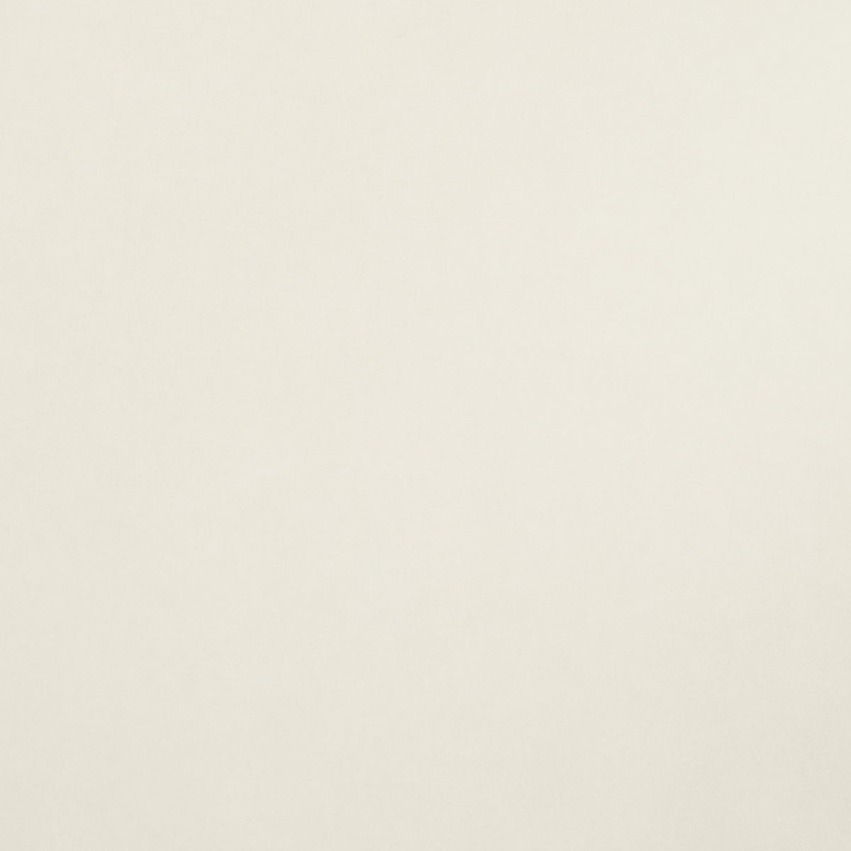 SCHUMACHER MILES REDD VILLA TEXTURE WHITE , IVORY - 5009932