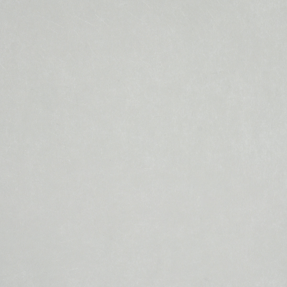 SCHUMACHER MILES REDD VILLA TEXTURE GREY - 5009933