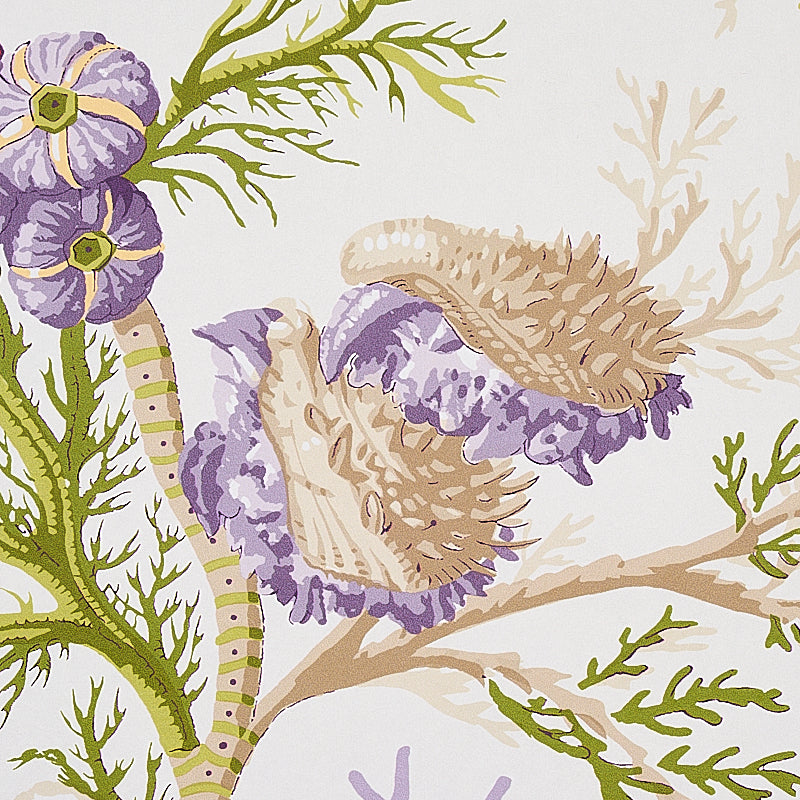 SCHUMACHER SIGNATURE SCHUMACHER DEL TESORO PURPLE , CORAL - 5010652