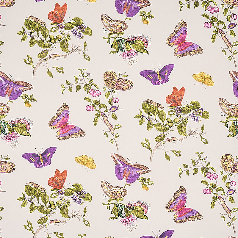 SCHUMACHER SIGNATURE SCHUMACHER BAUDIN BUTTERFLY PURPLE - 5010692 ...