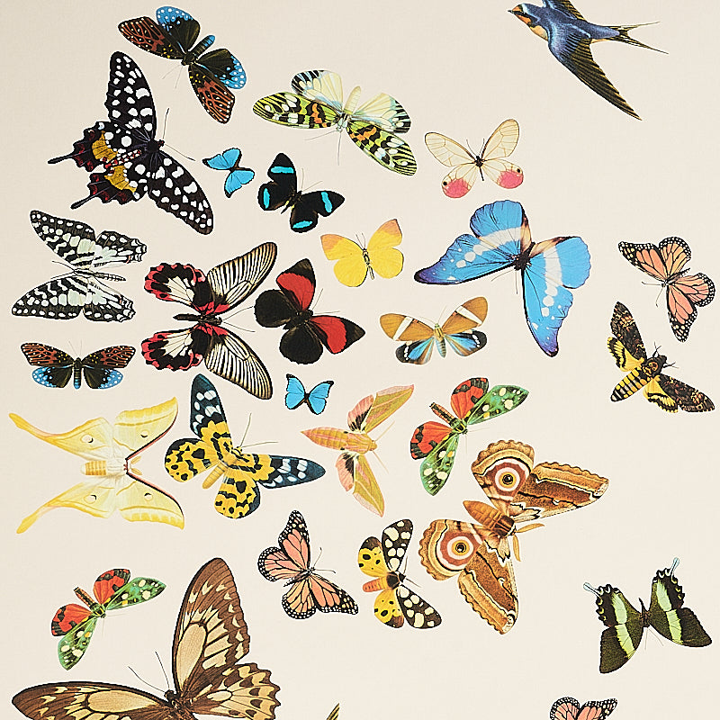 Assorted colorful butterfly print collage panels on cream background; vibrant wing patterns for wall decor.
