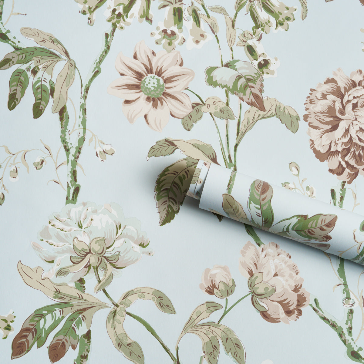 Light blue wallpaper with vintage botanical floral pattern in cream, pink, and green; rolled edge shows design repeat.
